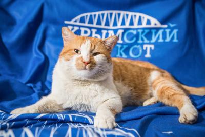 Прикрепленное изображение: IILoPjhMNXI копия.jpg